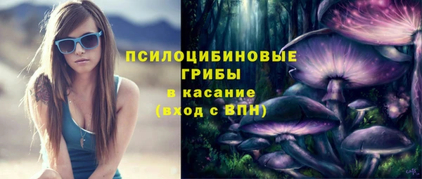 apvp Алексин